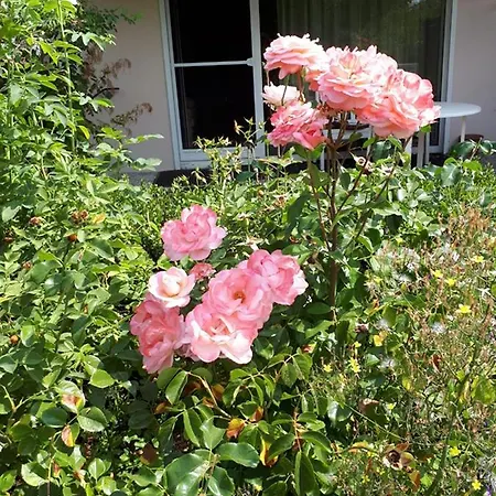 Entire House, Quiet Location, Garden, Parking Semesterbostad *