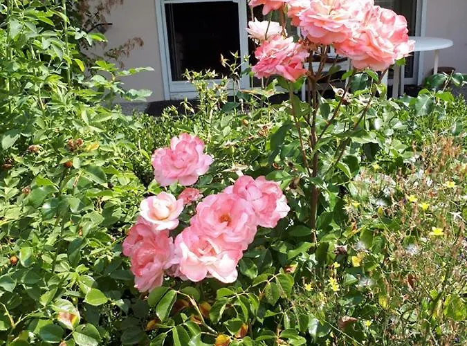 Entire House, Quiet Location, Garden, Parking Feriehus *